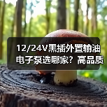 12/24V黑插外置输油电子泵选哪家？高品质挖掘机改装车推荐（图2）