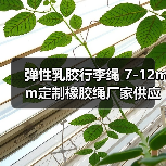弹性乳胶行李绳 7-12mm定制橡胶绳厂家供应（图3）