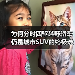 为何分时四驱越野轿车仍是城市SUV的终极选择？（图2）