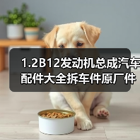 1.2B12发动机总成汽车配件大全拆车件原厂件 1.2B12发动机总成汽车配件大全拆车件原厂件
