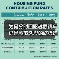 为何分时四驱越野轿车仍是城市SUV的终极选择？（图4）