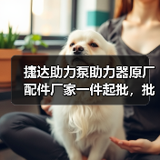 捷达助力泵助力器原厂配件厂家一件起批，批发优惠（图3）