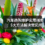 汽车选购维护实用指南:5大方法解决常见问题(图2) 汽车选购维护实用指南:5大方法解决常见问题(图2)