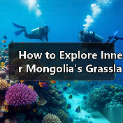 How to Explore Inner Mongolia's Grasslands: A Step-by-Step Guide(图3) How to Explore Inner Mongolia's Grasslands: A Step-by-Step Guide(图3)