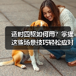 适时四驱如何用?掌握这些场景技巧轻松应对复杂路况 适时四驱如何用?掌握这些场景技巧轻松应对复杂路况