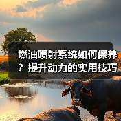 燃油喷射系统如何保养?提升动力的实用技巧揭秘 燃油喷射系统如何保养?提升动力的实用技巧揭秘