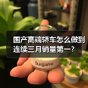 国产高端轿车怎么做到连续三月销量第一? 国产高端轿车怎么做到连续三月销量第一?