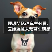 理想MEGA车主必看：云端监控未预警车辆是否安全？（图4）