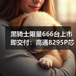 黑骑士限量666台上市即交付:高通8295P芯片如何定义新豪华?(图3) 黑骑士限量666台上市即交付:高通8295P芯片如何定义新豪华?(图3)