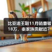 比亚迪王朝11月销量破18万,秦家族贡献近7万辆(图2) 比亚迪王朝11月销量破18万,秦家族贡献近7万辆(图2)