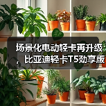 场景化电动轻卡再升级,比亚迪轻卡T5劲享版上市 场景化电动轻卡再升级,比亚迪轻卡T5劲享版上市