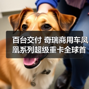 百台交付 奇瑞商用车凤凰系列超级重卡全球首发(图4) 百台交付 奇瑞商用车凤凰系列超级重卡全球首发(图4)