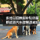 多地以旧换新补贴停摆 新能源汽车政策退潮加速(图2) 多地以旧换新补贴停摆 新能源汽车政策退潮加速(图2)