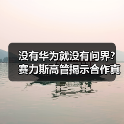 没有华为就没有问界?赛力斯高管揭示合作真相(图4) 没有华为就没有问界?赛力斯高管揭示合作真相(图4)