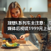 理想L系列车主注意：流媒体后视镜1999元上架（图3）