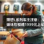 理想L系列车主注意：流媒体后视镜1999元上架（图4）