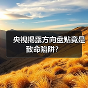 央视揭露方向盘贴竟是致命陷阱?(图4) 央视揭露方向盘贴竟是致命陷阱?(图4)