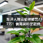 车评人陈震偷税被罚247万!曾高调称足额纳税引争议 车评人陈震偷税被罚247万!曾高调称足额纳税引争议