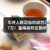 车评人陈震偷税被罚247万!曾高调称足额纳税引争议(图4) 车评人陈震偷税被罚247万!曾高调称足额纳税引争议(图4)