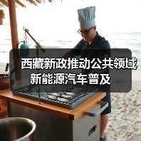西藏新政推动公共领域新能源汽车普及