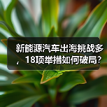 新能源汽车出海挑战多,18项举措如何破局?(图3) 新能源汽车出海挑战多,18项举措如何破局?(图3)