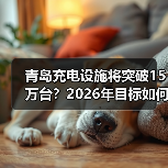 青岛充电设施将突破15万台?2026年目标如何实现(图3) 青岛充电设施将突破15万台?2026年目标如何实现(图3)