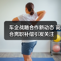 车企战略合作新动态 高合离职补偿引发关注(图3) 车企战略合作新动态 高合离职补偿引发关注(图3)