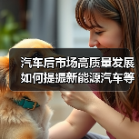 汽车后市场高质量发展如何提振新能源汽车等大宗消费？（图4）