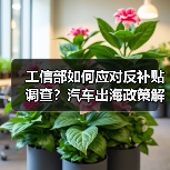 工信部如何应对反补贴调查?汽车出海政策解读(图3) 工信部如何应对反补贴调查?汽车出海政策解读(图3)