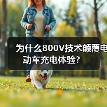 为什么800V技术颠覆电动车充电体验?(图4) 为什么800V技术颠覆电动车充电体验?(图4)