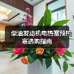 柴油发动机电热塞预热塞选购指南（图2）