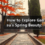 How to Explore Gansu's Spring Beauty: A Traveler's Guide(图2) How to Explore Gansu's Spring Beauty: A Traveler's Guide(图2)