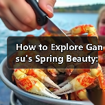 How to Explore Gansu's Spring Beauty: A Traveler's Guide How to Explore Gansu's Spring Beauty: A Traveler's Guide
