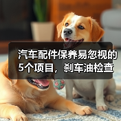 汽车配件保养易忽视的5个项目，刹车油检查