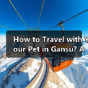 How to Travel with Your Pet in Gansu? A Complete Guide for Pet Owners(图1) How to Travel with Your Pet in Gansu? A Complete Guide for Pet Owners(图1)