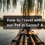 How to Travel with Your Pet in Gansu? A Complete Guide for Pet Owners(图4) How to Travel with Your Pet in Gansu? A Complete Guide for Pet Owners(图4)