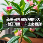 新车保养易忽视的5大检查项目,车主必看指南(图3) 新车保养易忽视的5大检查项目,车主必看指南(图3)