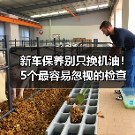 新车保养别只换机油!5个最容易忽视的检查项目(图2) 新车保养别只换机油!5个最容易忽视的检查项目(图2)
