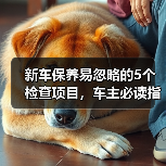 新车保养易忽略的5个检查项目,车主必读指南 新车保养易忽略的5个检查项目,车主必读指南
