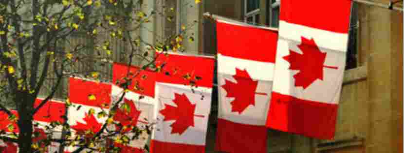 为何专家认为2026年加拿大二手车价格难有回落